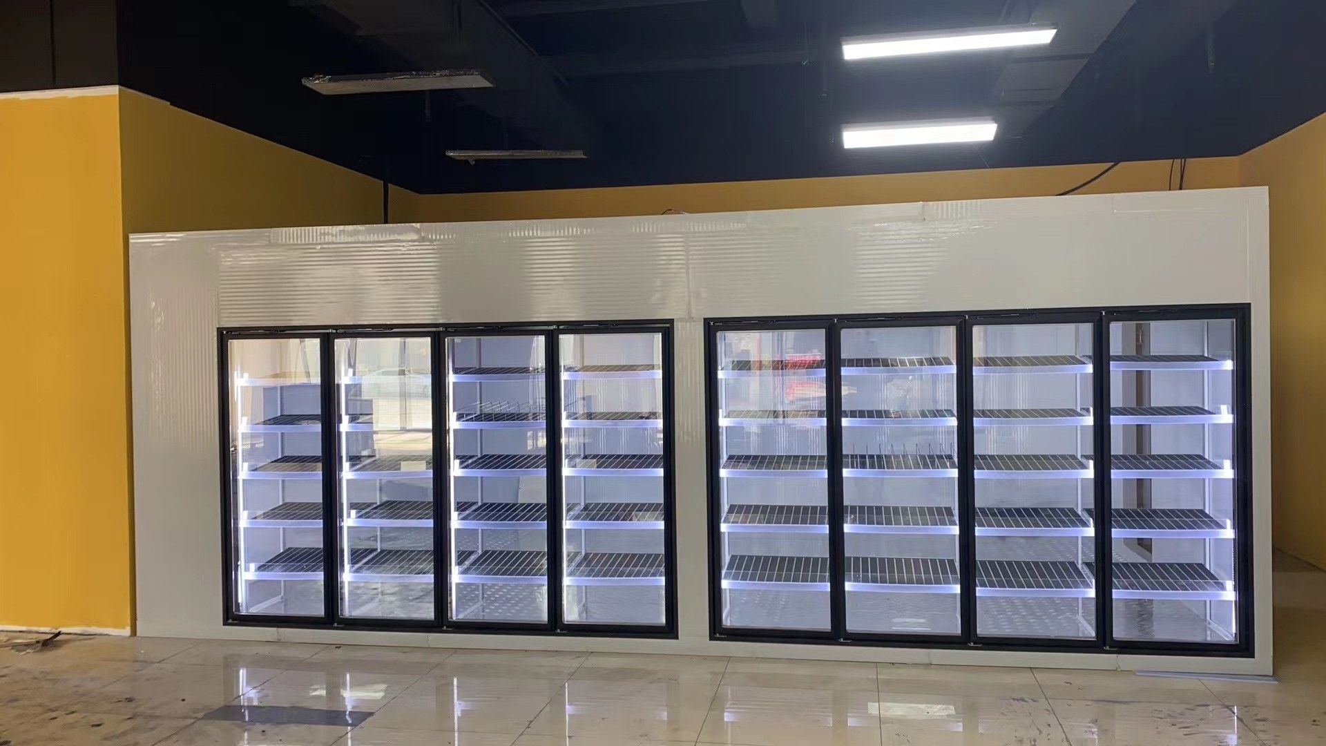 A row of black-framed glass doors forms the display frontage. Illuminated shelves are visible through the doors.